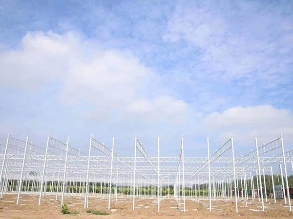 泰安溫室大棚骨架建造